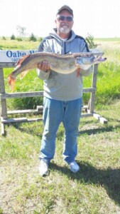 A man in a gray hoodie and blue jeans holds a large fish in front of a sign in a grassy outdoor setting.