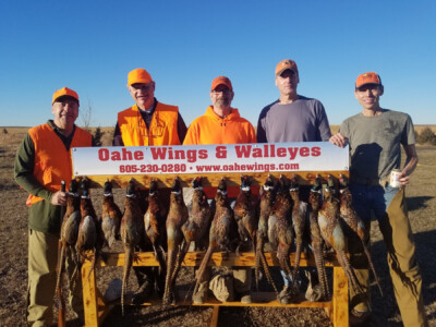 Lake Oahe Pheasant Hunting Guide & Lodge in South Dakota