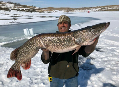 A person standing on a snowy landscape holding a large fish in front of a partially frozen body of water.