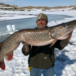 A person standing on a snowy landscape holding a large fish in front of a partially frozen body of water.