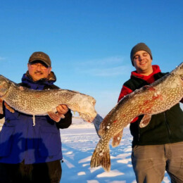 Two people standing on a snowy landscape, each holding a large fish. Both are dressed warmly and appear pleased with their catch.