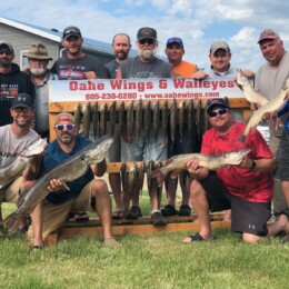 Group of men posing with their catch of fish in front of a sign that reads "Oahe Wings & Walleyes" and displays the company website and phone number.
