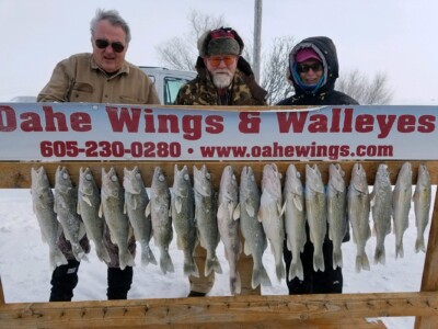 Three people stand behind a wooden rack displaying a row of freshly caught fish with a sign reading "Oahe Wings & Walleyes.