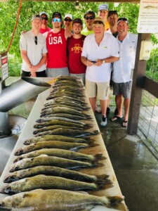 A group of men standing behind a long table displaying numerous large fish they have caught. They are outdoors under a shelter.