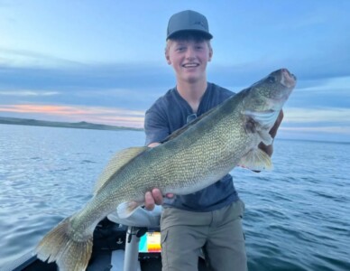 A person in a cap holds a large fish on a boat with a serene water and sky backdrop during sunset, capturing the essence of walleye fishing.