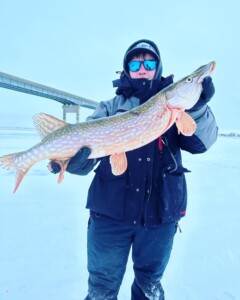 Person in winter clothing holding a large walleye in a snowy landscape with a bridge in the background.