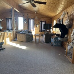 A rustic living room with numerous wildlife taxidermy mounts, plush seating, a TV, and a wooden ceiling and walls. Sunlight streams in.