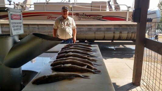 A man stands behind a row of freshly caught fish lined up on a table, with a pontoon boat in the background.